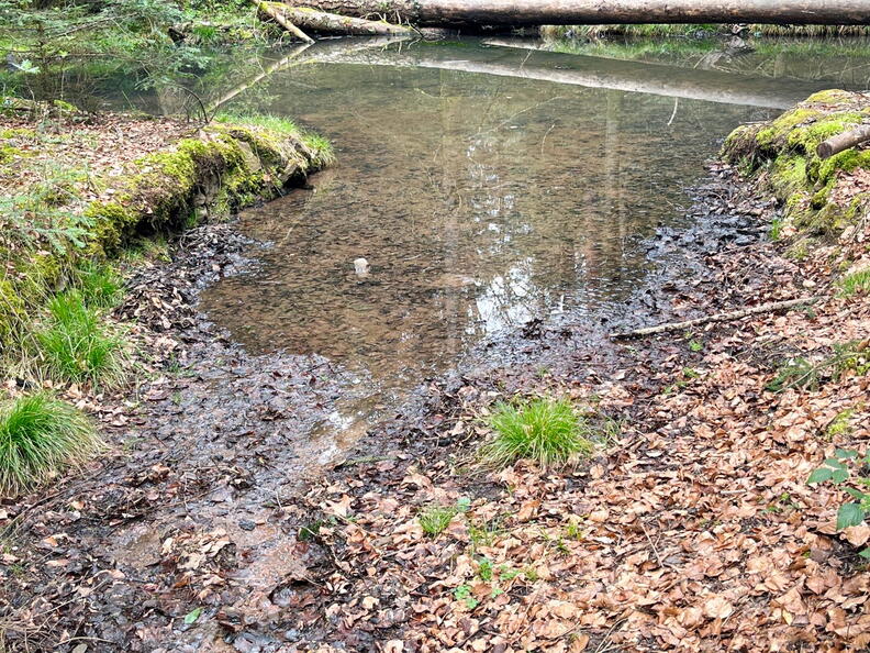 23-04-30 14-59-53 5250